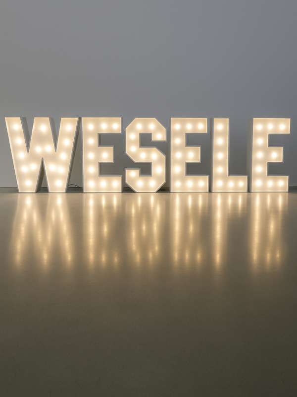 Písmeno W – svíticí dekorace LED s žárovkami na akce a svatby